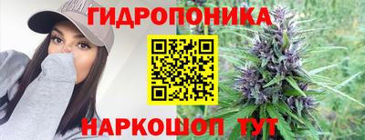 кокс Будённовск